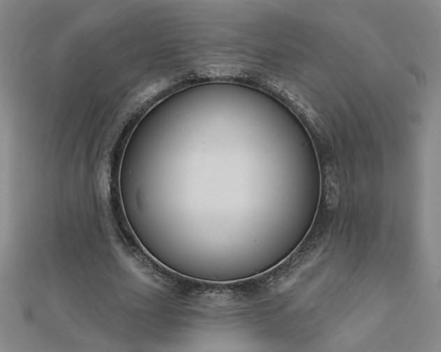 X0000112760631200908271620