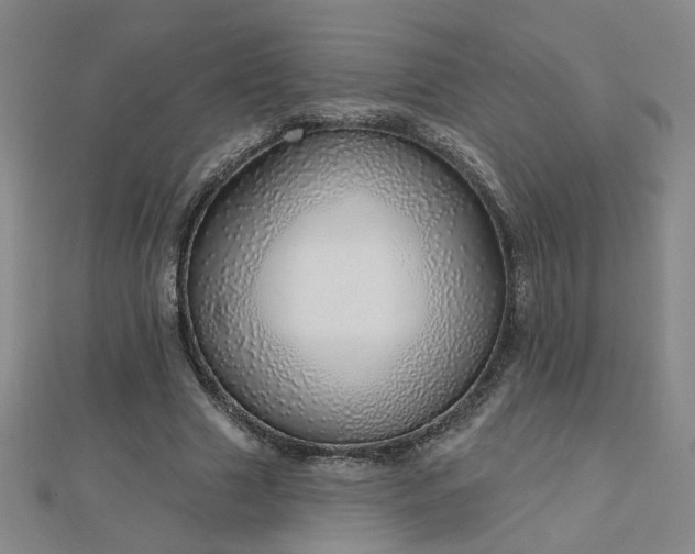 X0000112760633200908271620