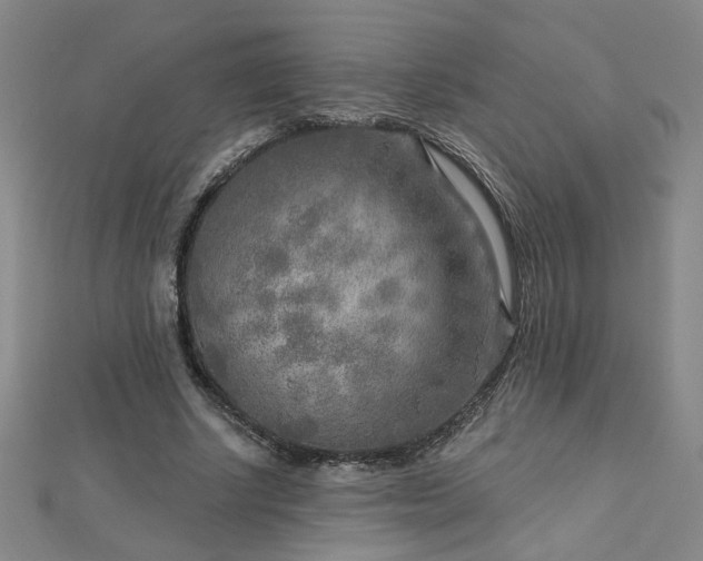 X0000112760634200908271620
