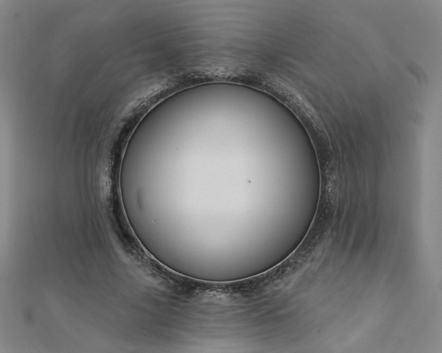 X0000112760635200908271620