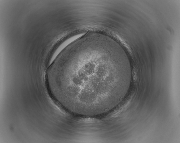 X0000112760637200908271620