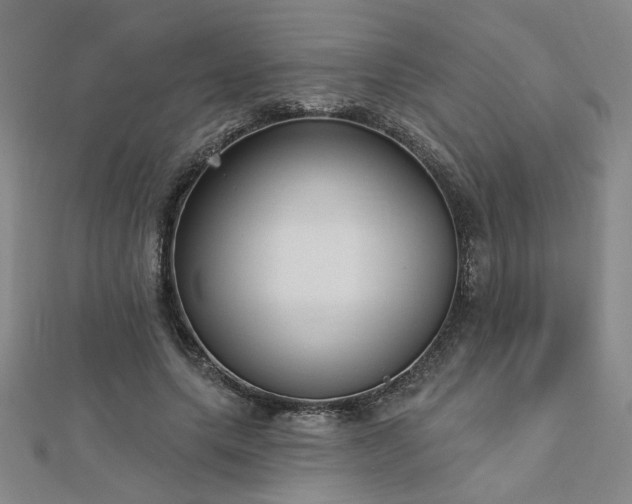 X0000112760639200908271620