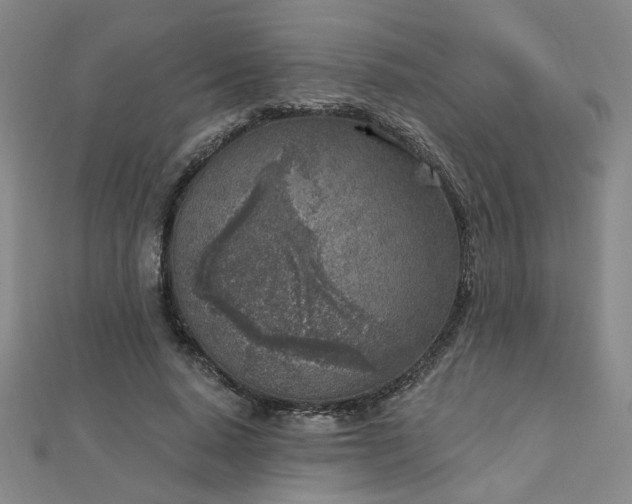 X0000112760640200908271620