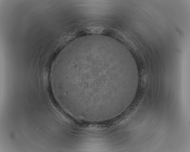 X0000112760641200908271620