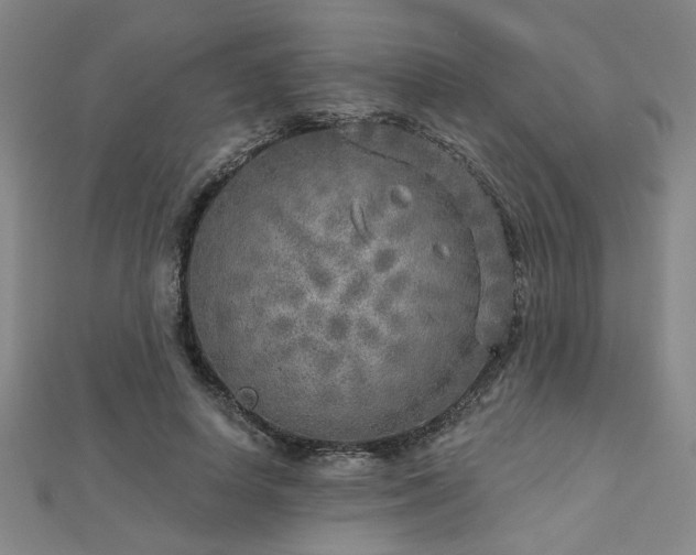 X0000112760642200908271620