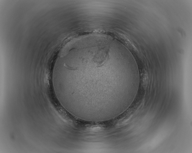 X0000112760643200908271620
