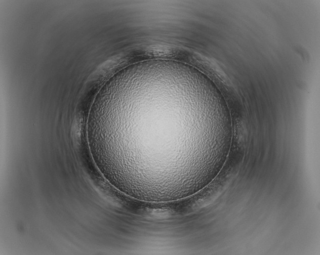 X0000112760645200908271620