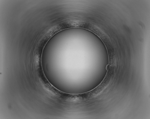 X0000112760646200908271620