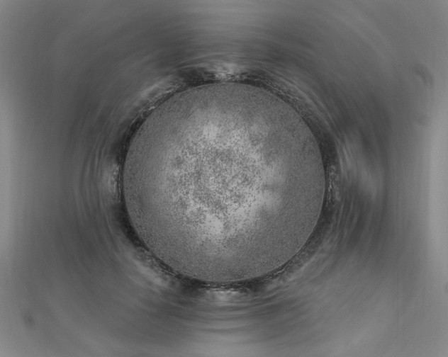 X0000112760650200908271620