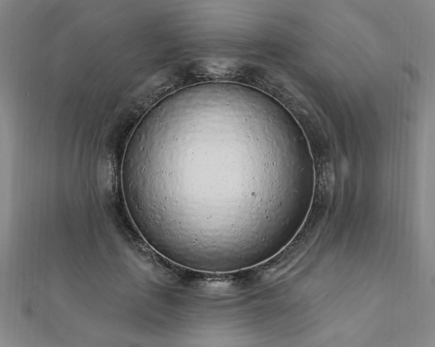 X0000112760651200908271620