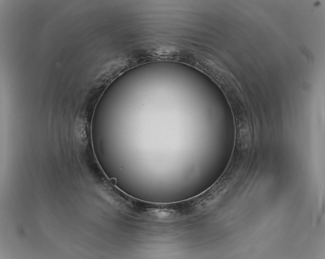 X0000112760654200908271620