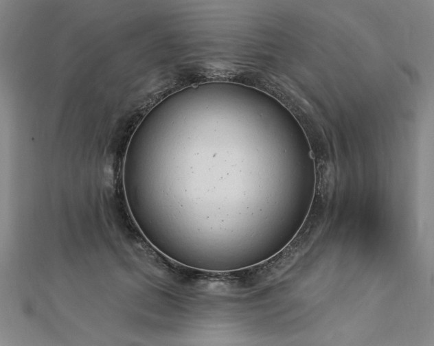 X0000112760655200908271620