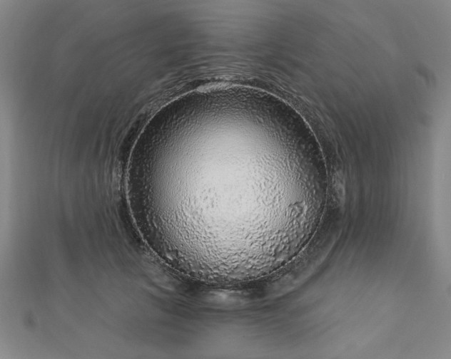 X0000112760657200908271620