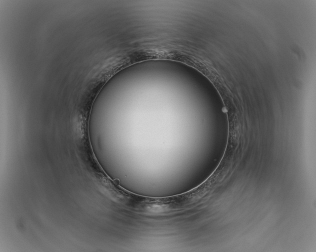 X0000112760658200908271620