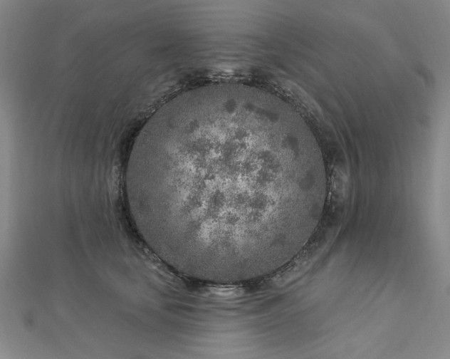 X0000112760659200908271620