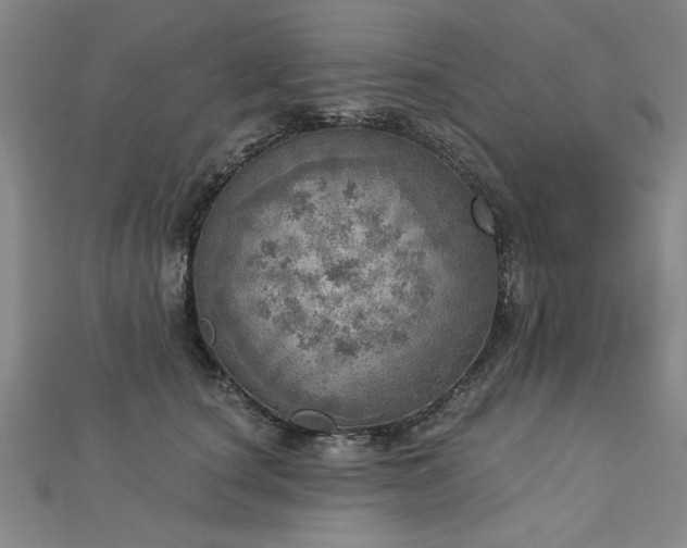 X0000112760660200908271620