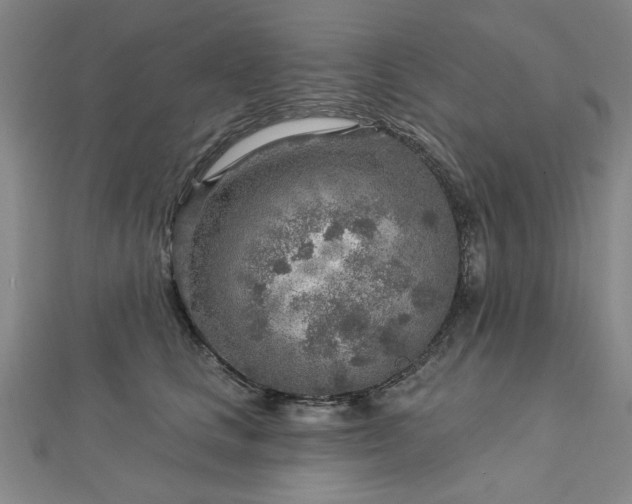 X0000112760661200908271620