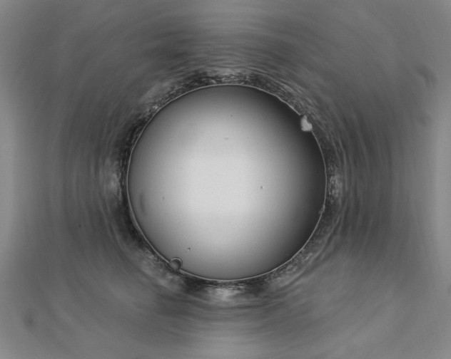 X0000112760662200908271620