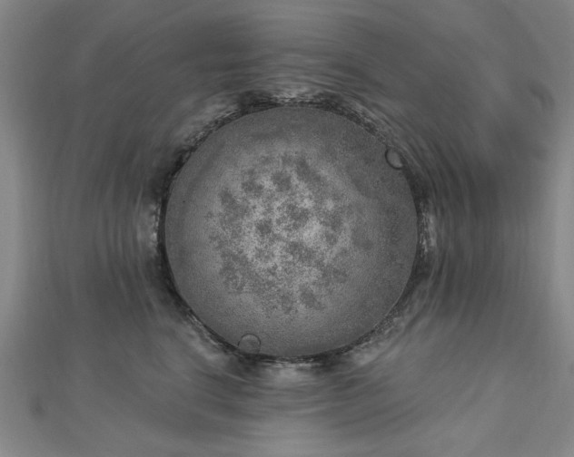 X0000112760664200908271620