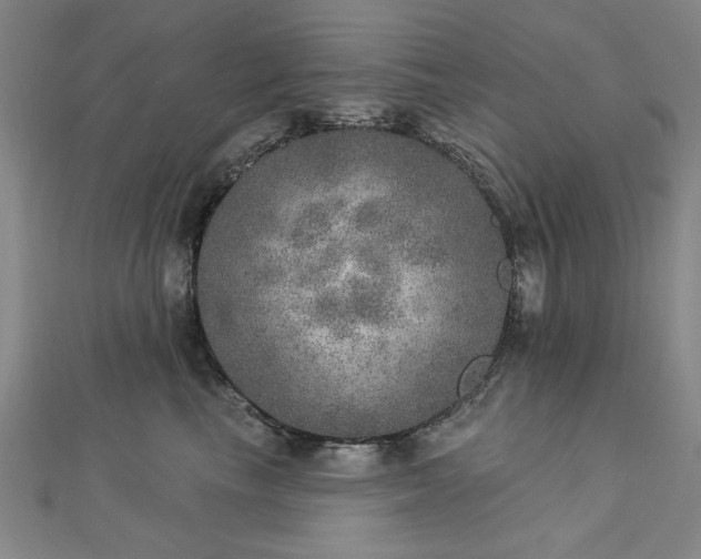 X0000112760665200908271620