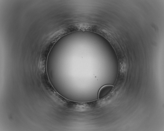 X0000112760666200908271620