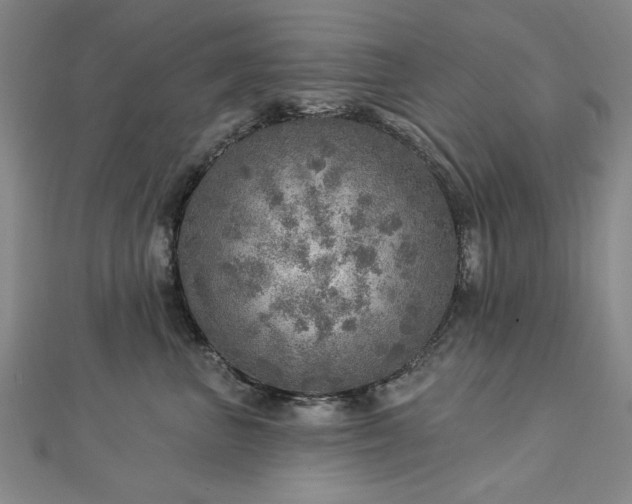 X0000112760667200908271620