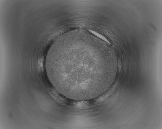 X0000112760670200908271620