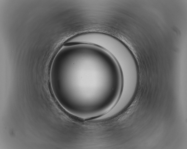 X0000112760673200908271620