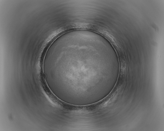 X0000112760674200908271620