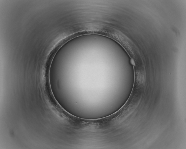X0000112760676200908271620