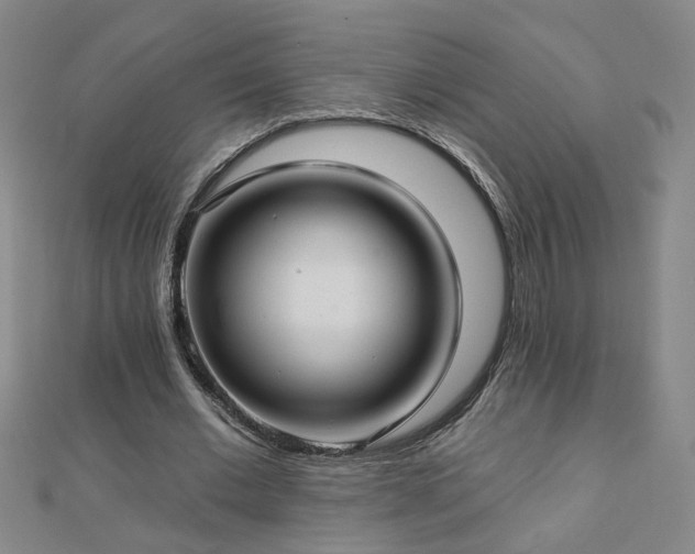 X0000112760677200908271620