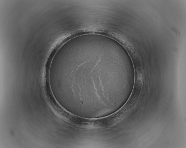 X0000112760678200908271620