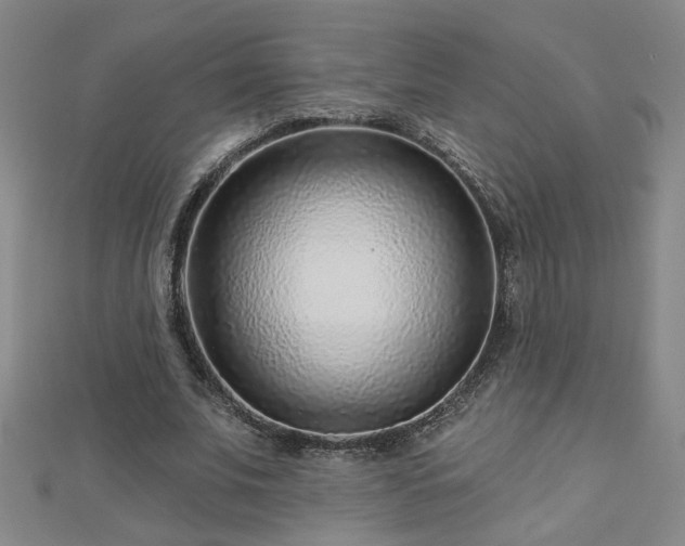 X0000112760679200908271620