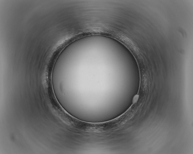 X0000112760680200908271620