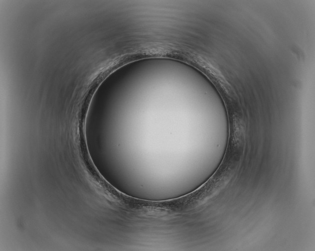 X0000112760681200908271620