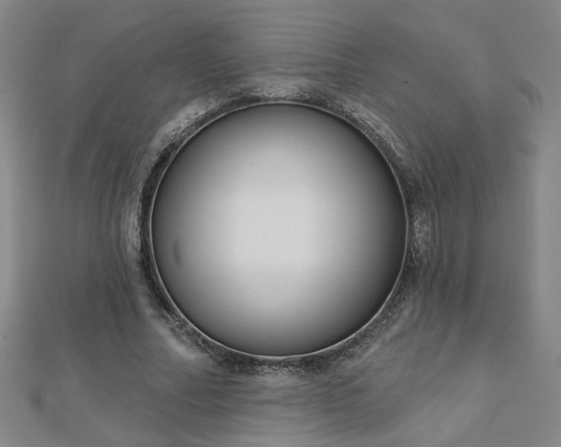 X0000112760682200908271620