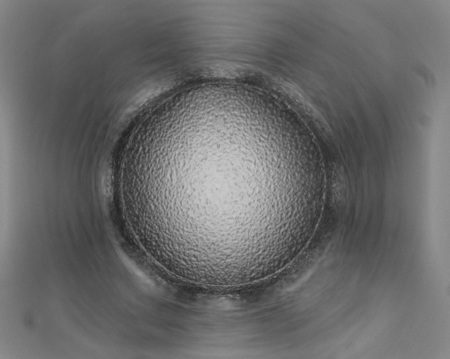 X0000112760683200908271620