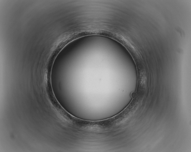 X0000112760685200908271620