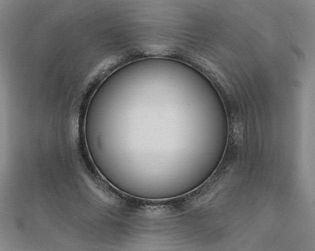 X0000112760686200908271620