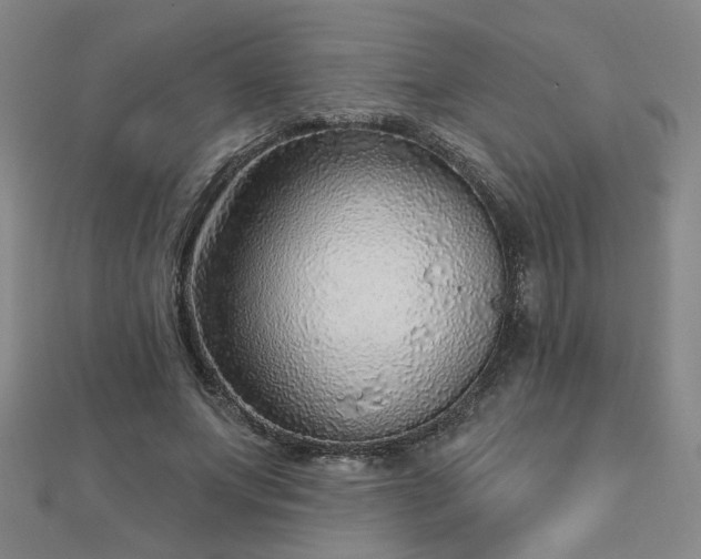 X0000112760687200908271620