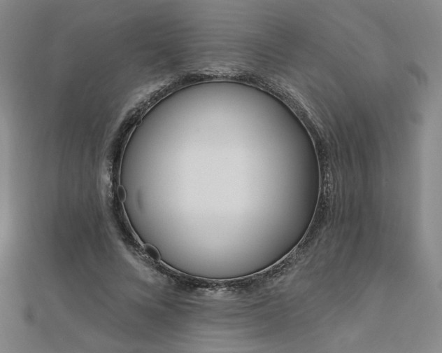 X0000112760688200908271620