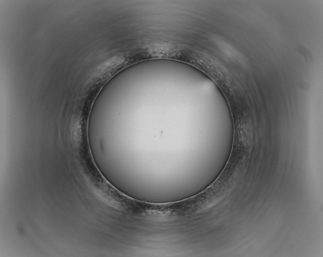 X0000112760690200908271620