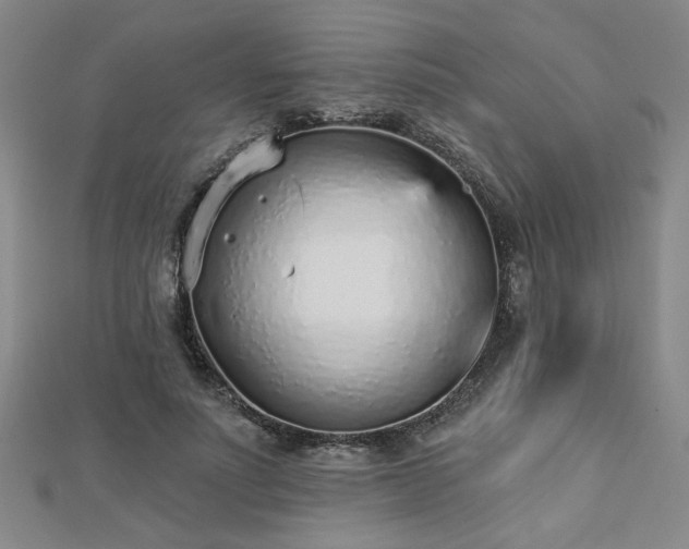 X0000112760691200908271620
