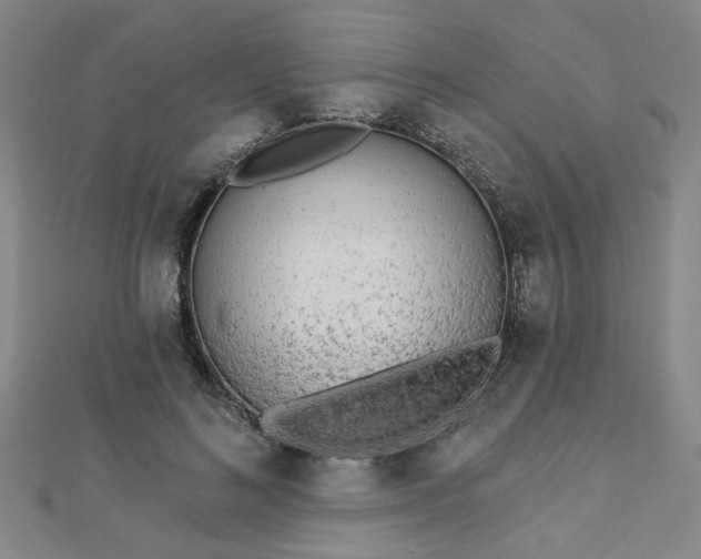 X0000112760692200908271620