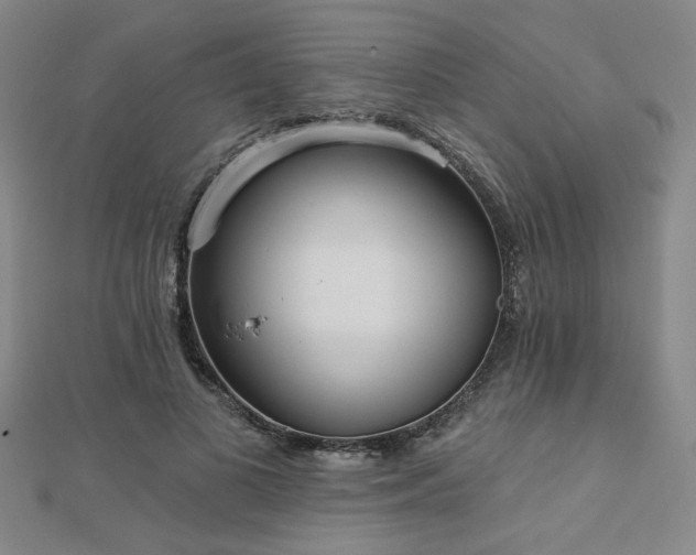 X0000112760693200908271620