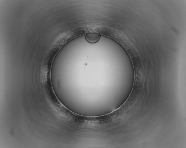 X0000112760694200908271620