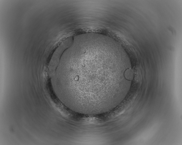 X0000112760695200908271620