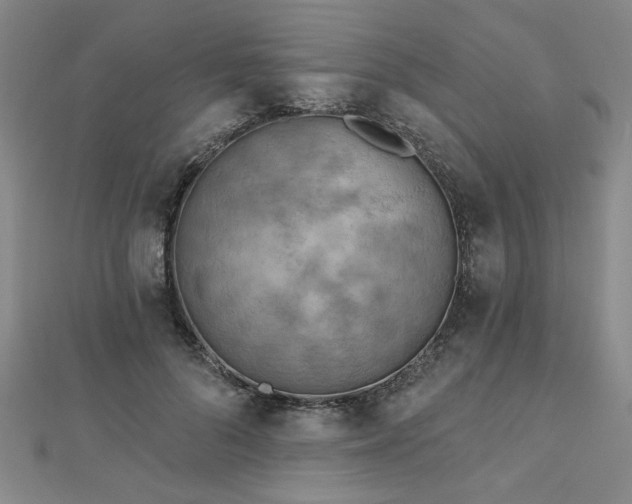 X0000112760696200908271620