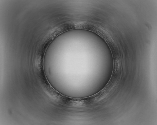 X0000112760698200908271620