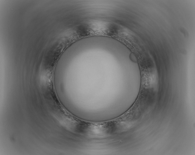 X0000112760701200908271619